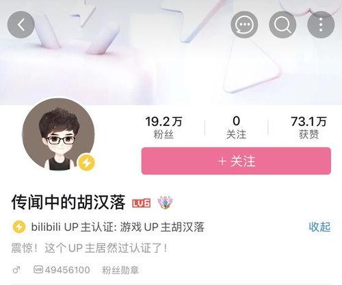 网红玲子爆料视频播放,爆款视频背后的播放量秘密  第2张